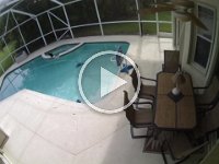 Louie Pool